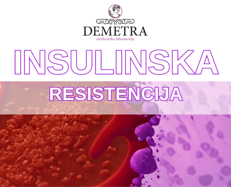 Insulinska resistencija • Demetra Lab